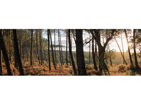 SEIGNOSSE 091121BPANO