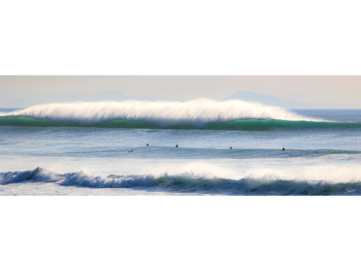 HOSSEGOR 190326C
