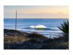 HOSSEGOR 120219